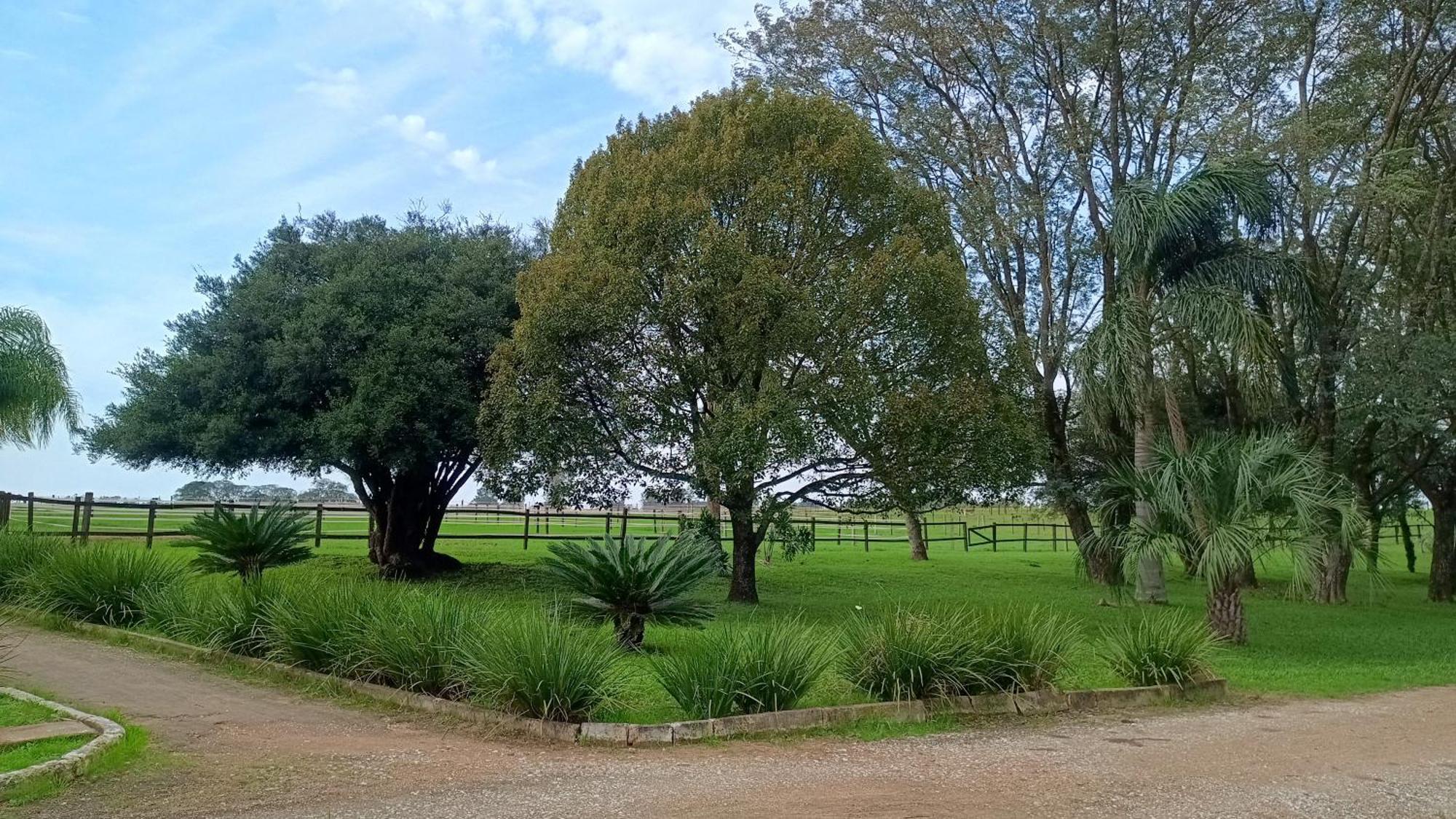 Hotel Estalagem Haras Di Cellius à Bagé Extérieur photo